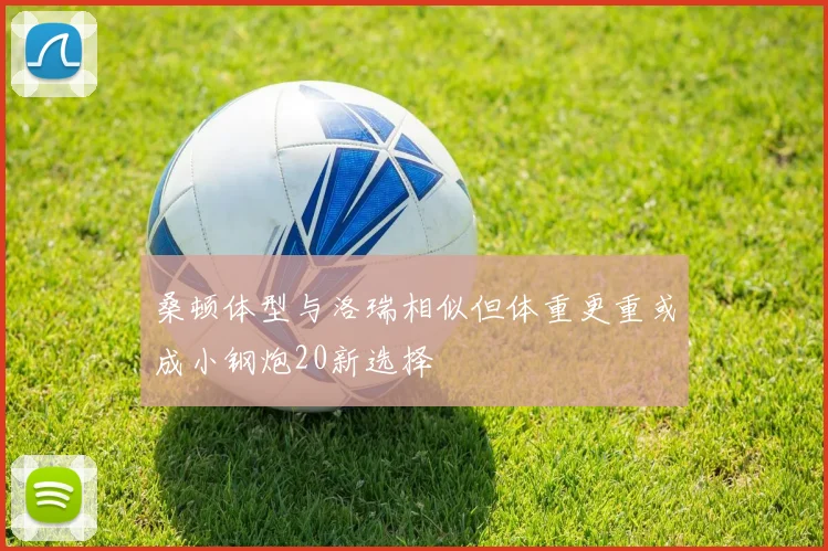 桑顿体型与洛瑞相似但体重更重或成小钢炮20新选择